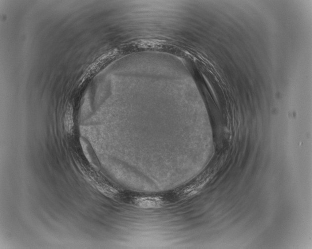 X0000085780508200704131832