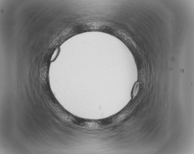 X0000085780509200704131832