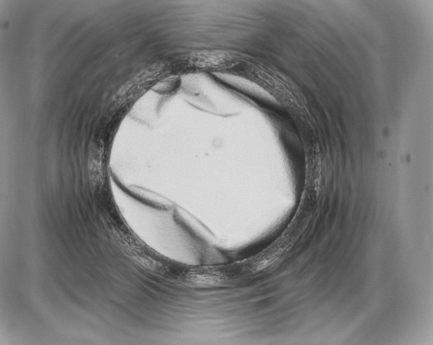 X0000085780510200704131832