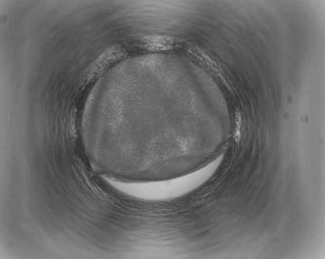 X0000085780512200704131832