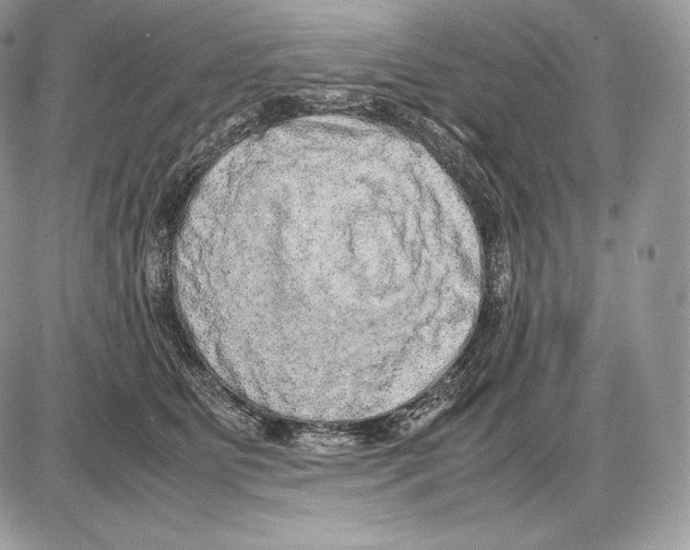 X0000085780515200704131832