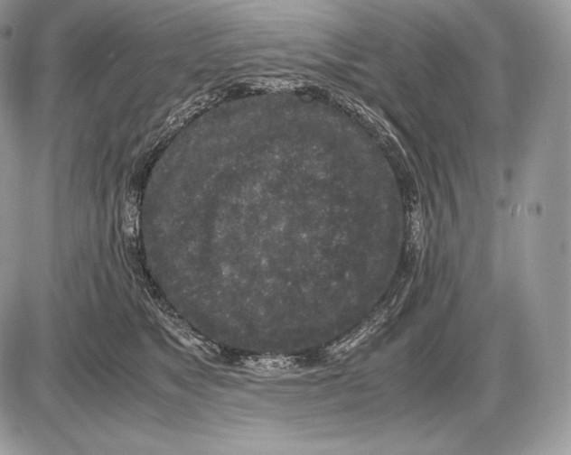 X0000085780517200704131832