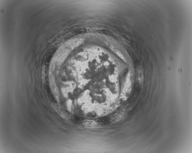 X0000085780519200704131832