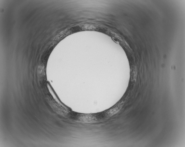 X0000085780521200704131832