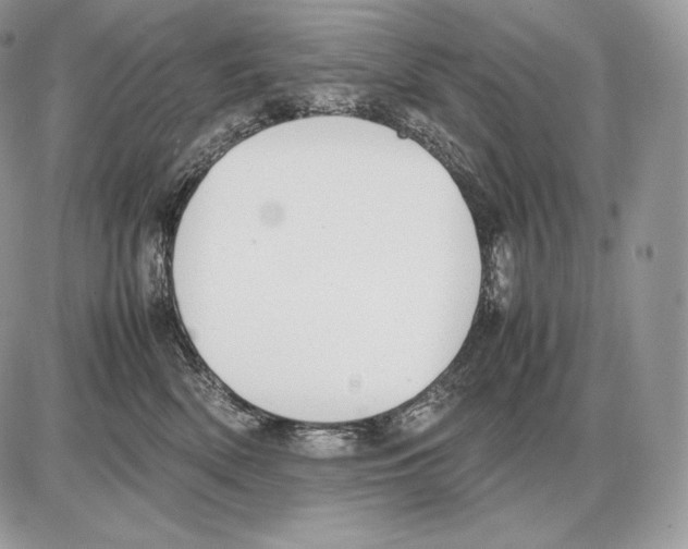 X0000085780522200704131832