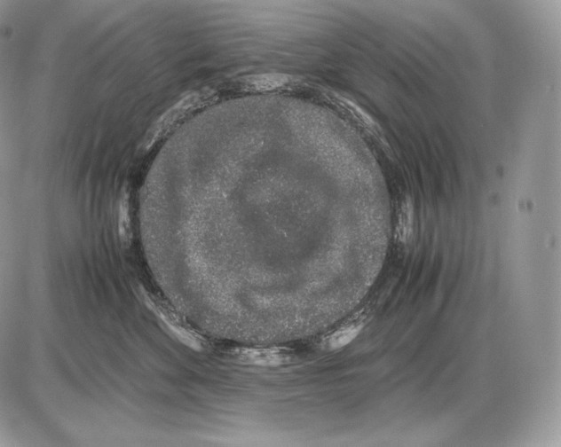 X0000085780524200704131832