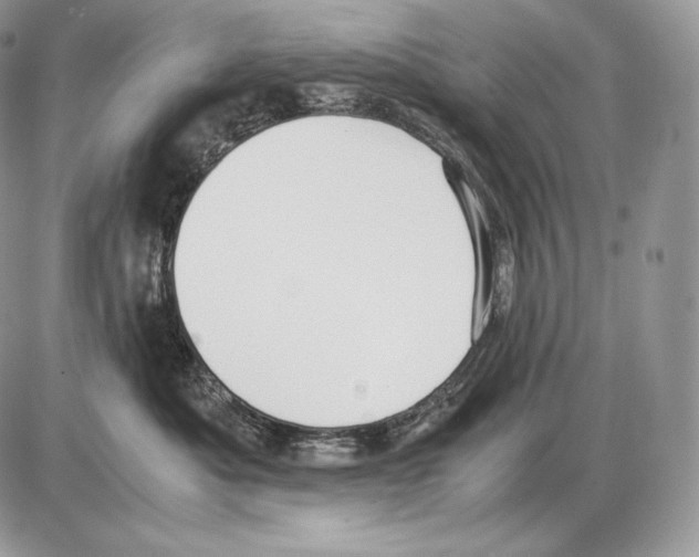 X0000085780525200704131832