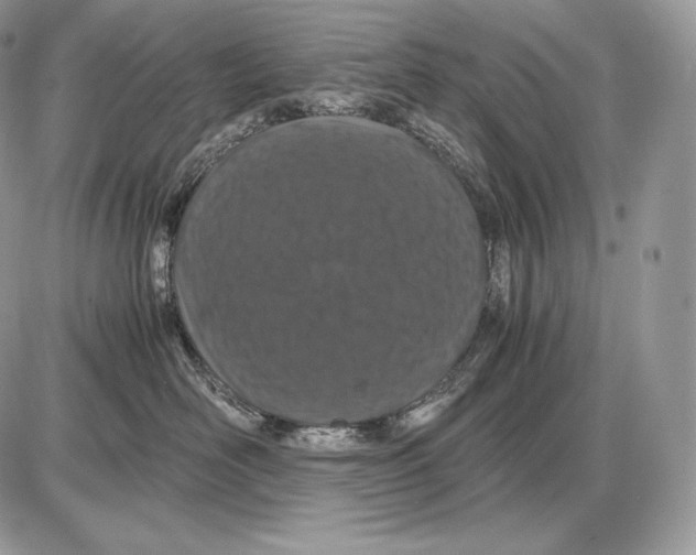 X0000085780526200704131832