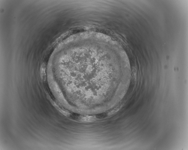 X0000085780527200704131832