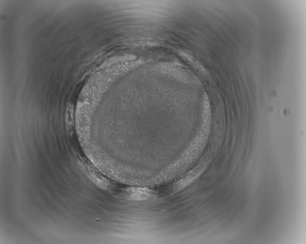 X0000085780528200704131832