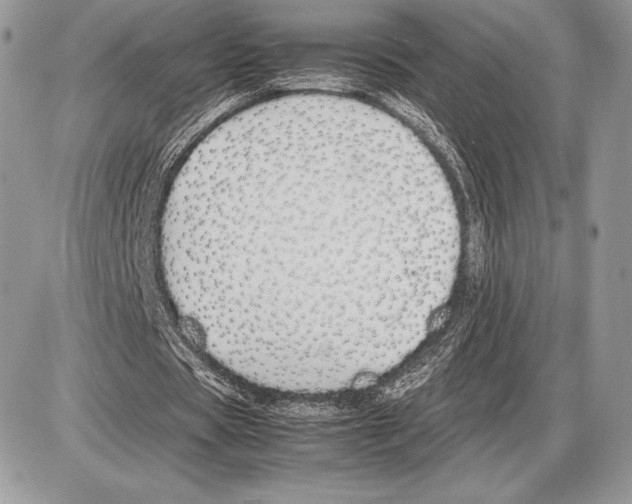 X0000085780529200704131831