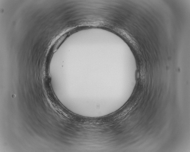 X0000085780532200704131831