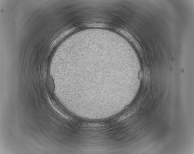 X0000085780533200704131831