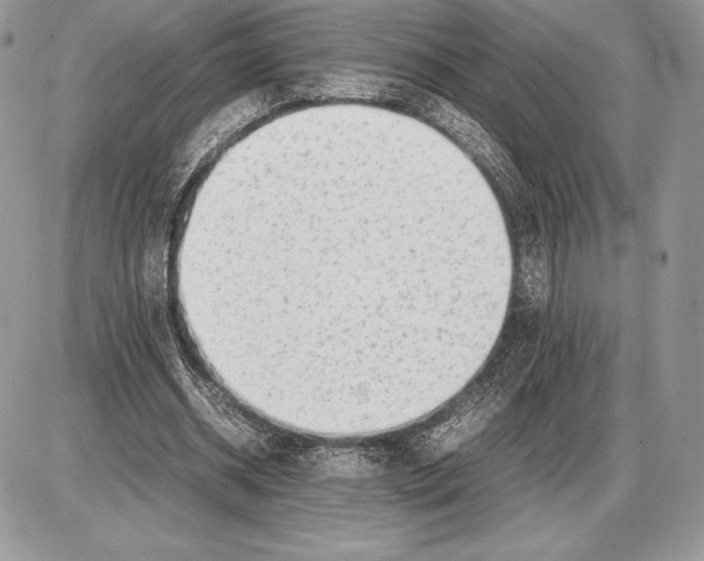 X0000085780534200704131831