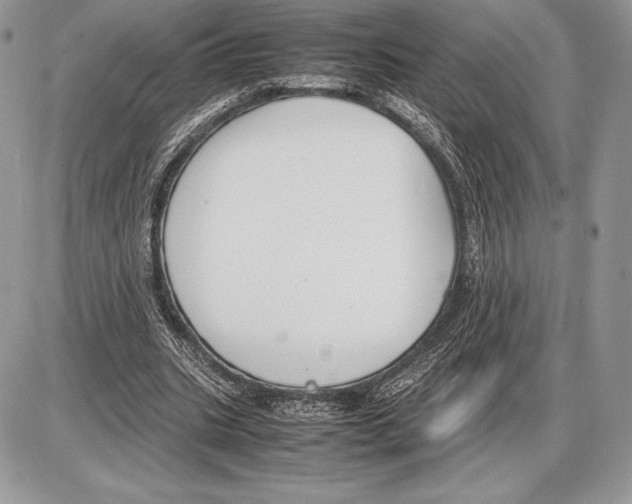 X0000085780535200704131831