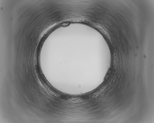 X0000085780536200704131831