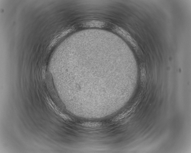 X0000085780537200704131831