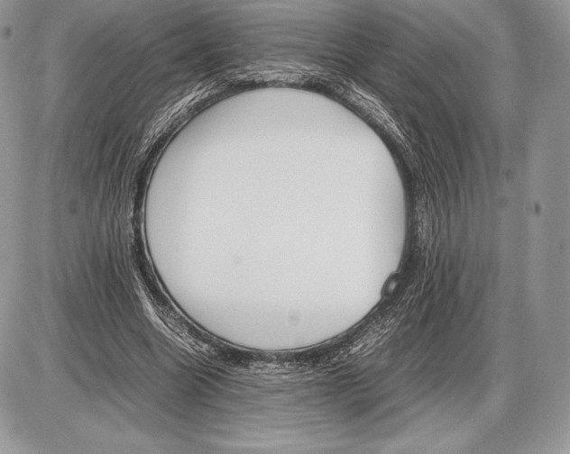 X0000085780538200704131831