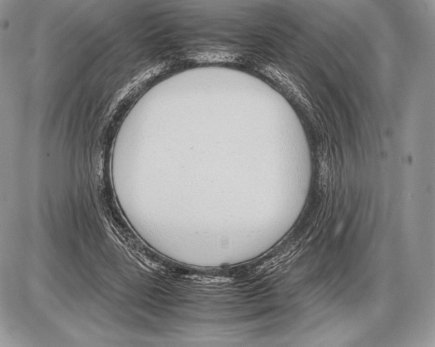 X0000085780539200704131831