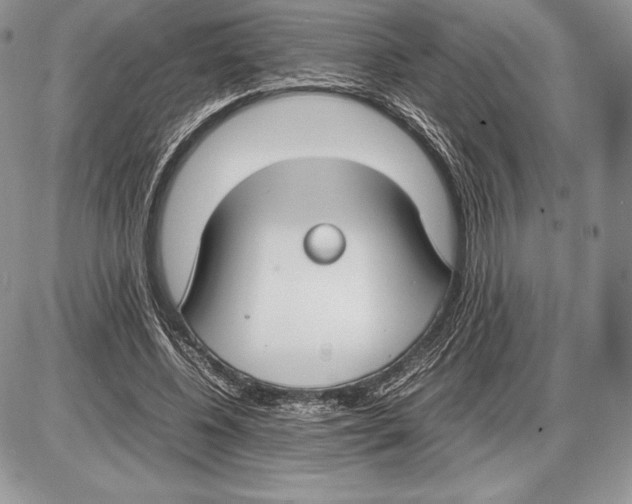 X0000085780540200704131831