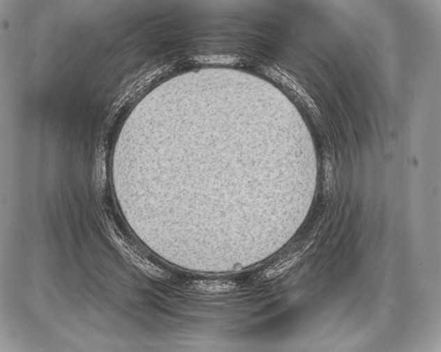 X0000085780541200704131831