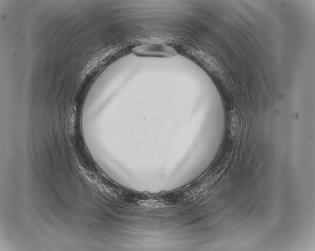 X0000085780544200704131831