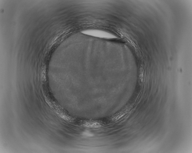 X0000085780547200704131831