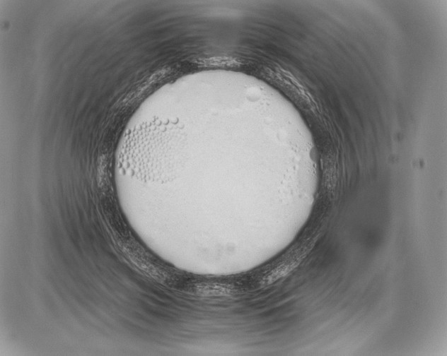 X0000085780549200704131831