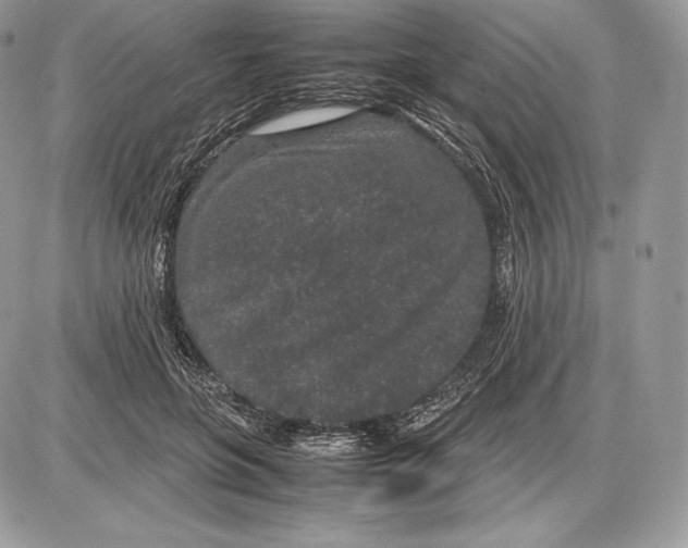 X0000085780551200704131832