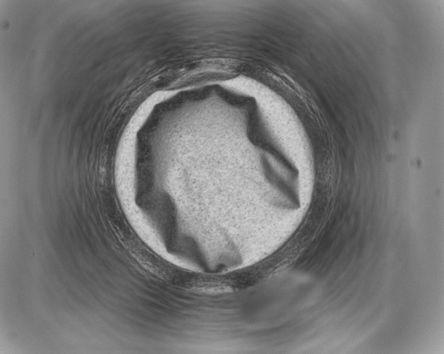 X0000085780553200704131832