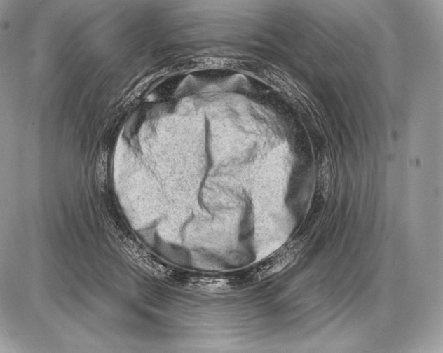 X0000085780554200704131832