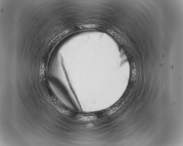 X0000085780555200704131832