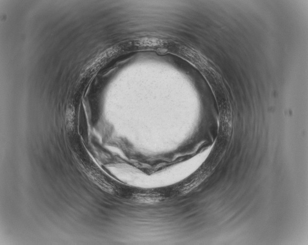 X0000085780556200704131832