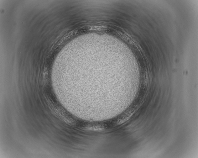 X0000085780557200704131832