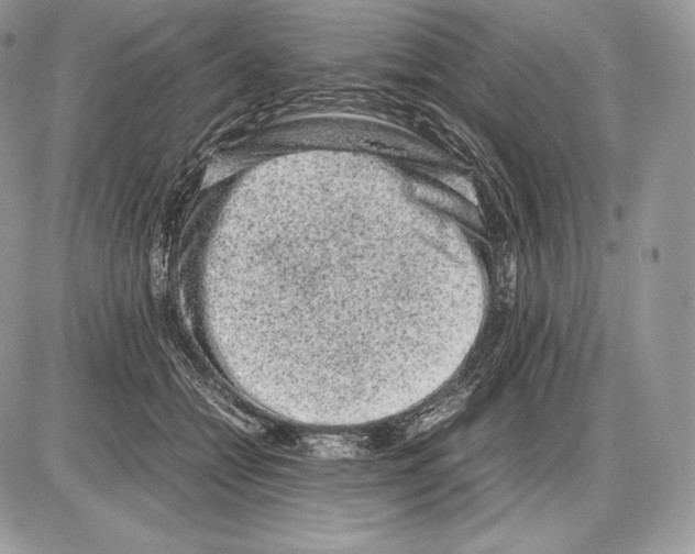 X0000085780558200704131832