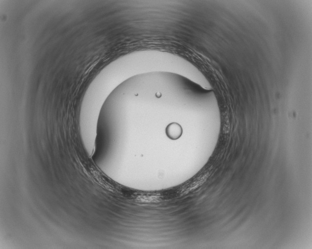 X0000085780560200704131832