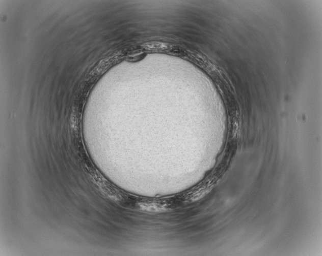 X0000085780561200704131832