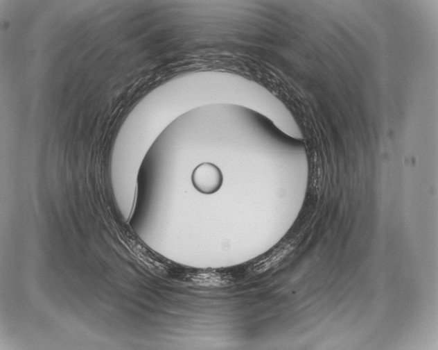 X0000085780562200704131832