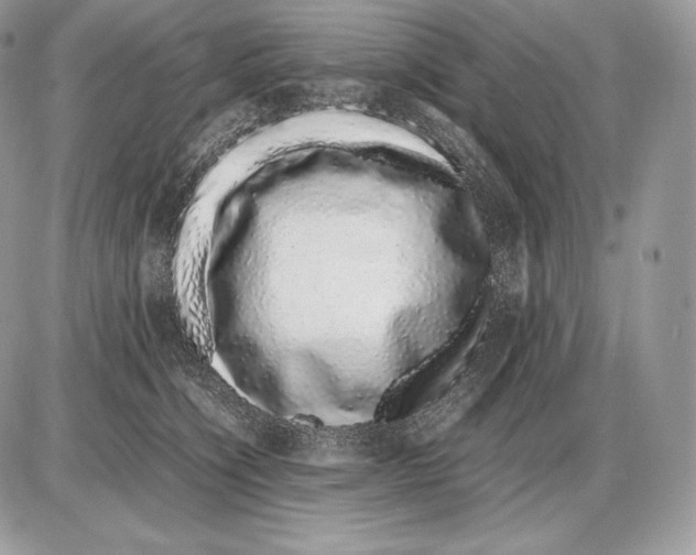 X0000085780564200704131832