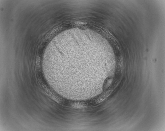 X0000085780565200704131832