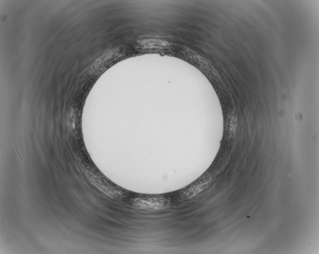 X0000085780567200704131832