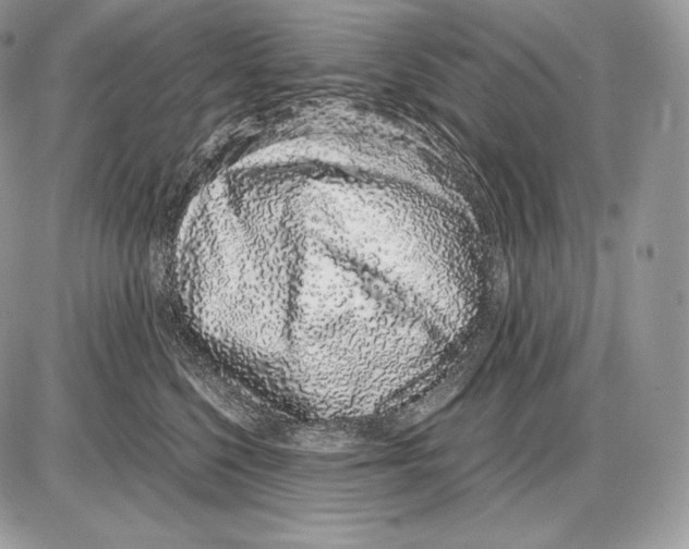 X0000085780568200704131832