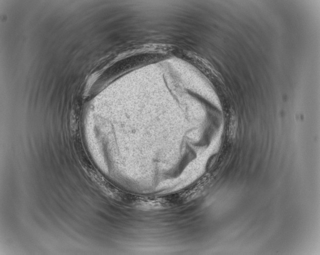 X0000085780569200704131832