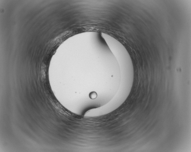 X0000085780570200704131832