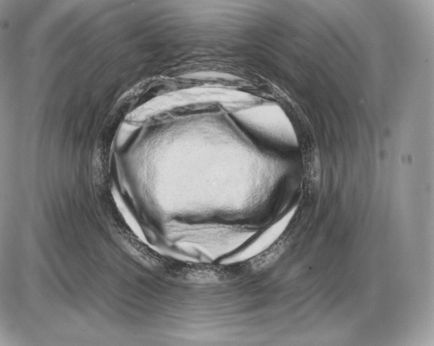 X0000085780572200704131832