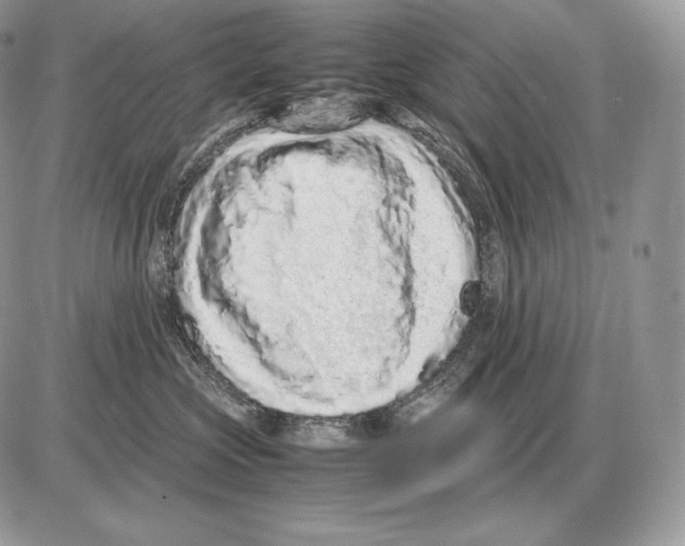 X0000085780573200704131832