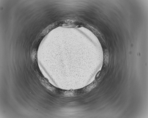 X0000085780574200704131832