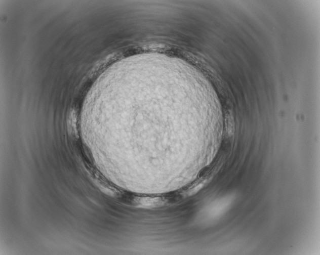 X0000085780575200704131832