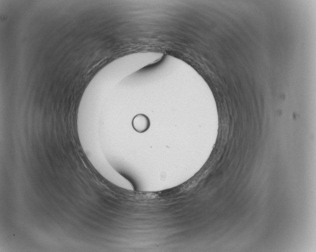 X0000085780576200704131832