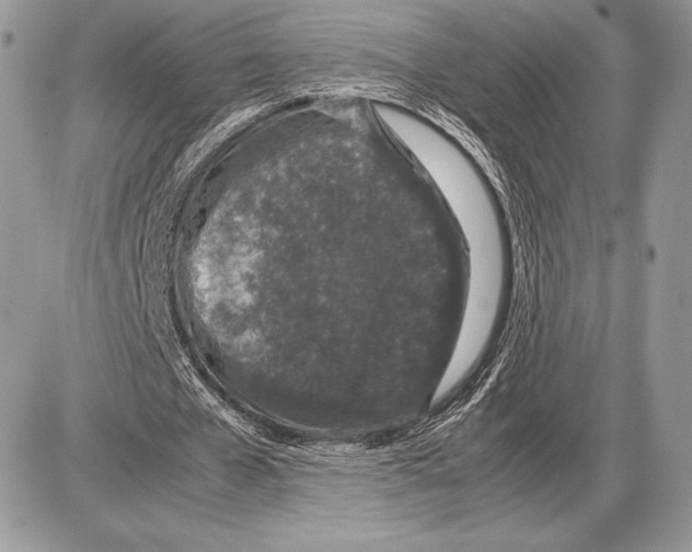 X0000085780577200704131831